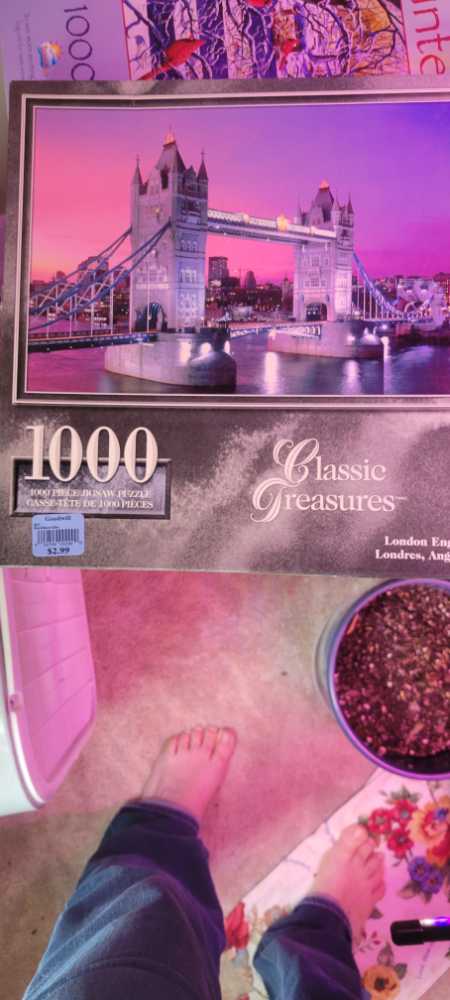 Amber Rooster And Family