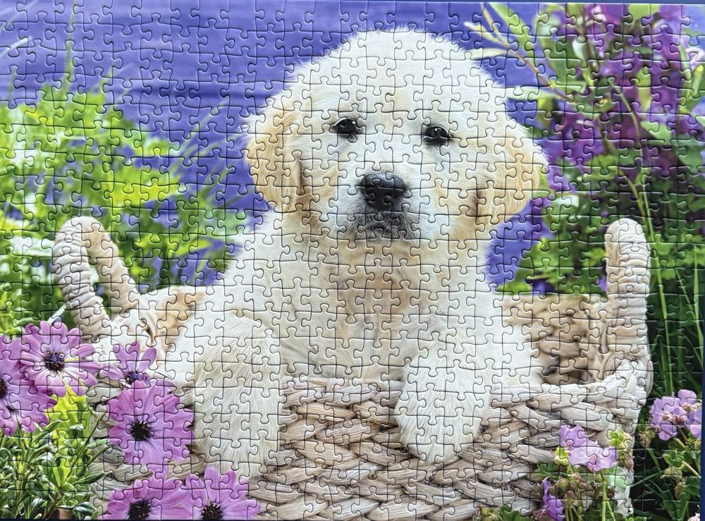 Sweet Golden Retriever 500 Piece Jigsaw Puzzle For Adults & For Kids Age 10 And Up - Ravensburger puzzle collectible [Barcode 4005556148295] - Main Image 2