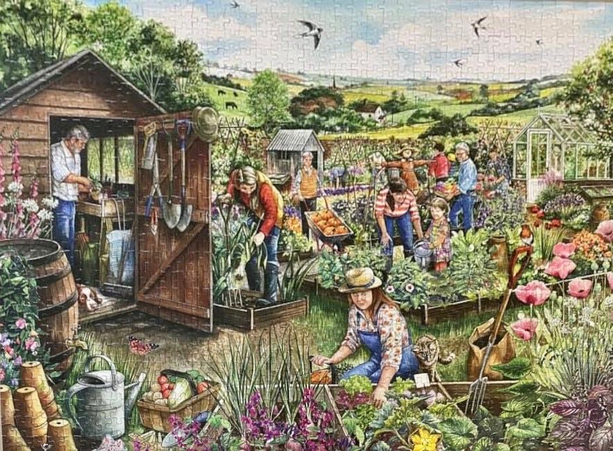 Down At The Allotment - Falcon de luxe puzzle collectible [Barcode 8710126112656] - Main Image 3