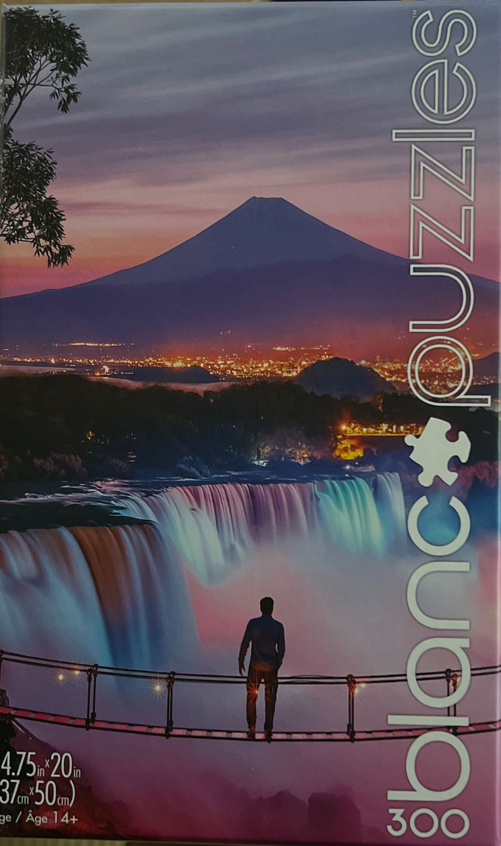 Castle Life In A Nutshell