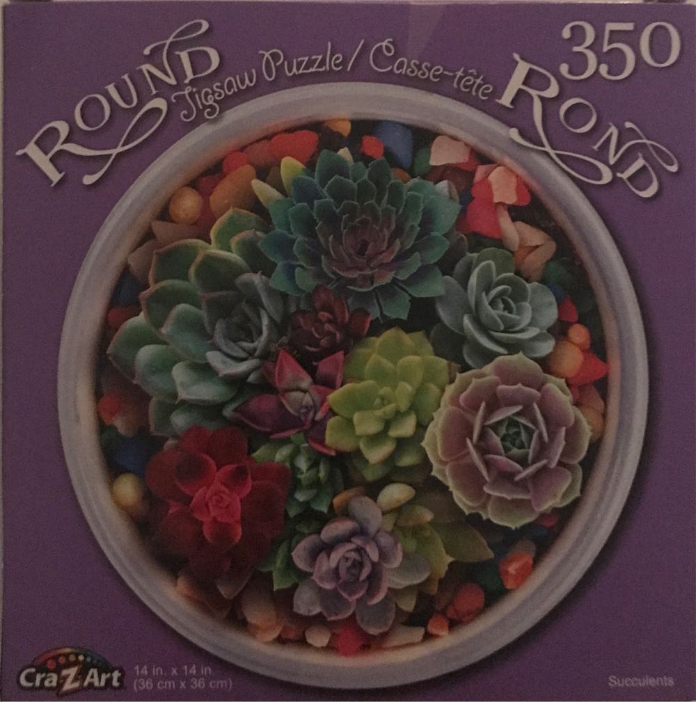 Cool Cats Beach Swap