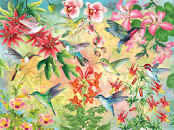 Princess Of The Amazon