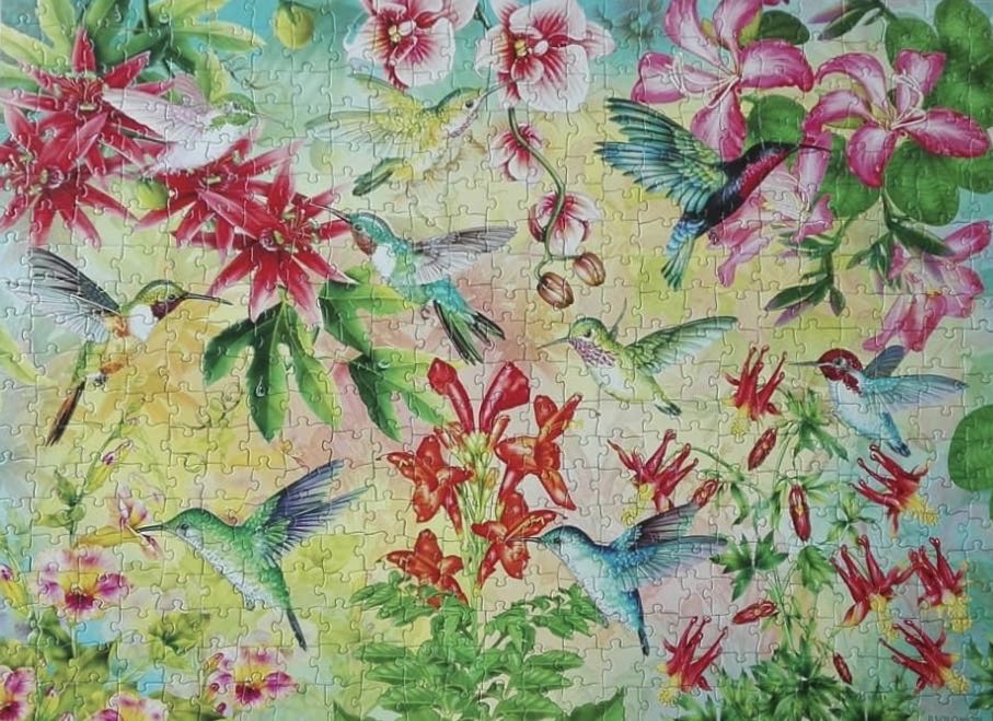 Hummingbird Garden NNG - SunsOut puzzle collectible [Barcode 796780684607] - Main Image 3