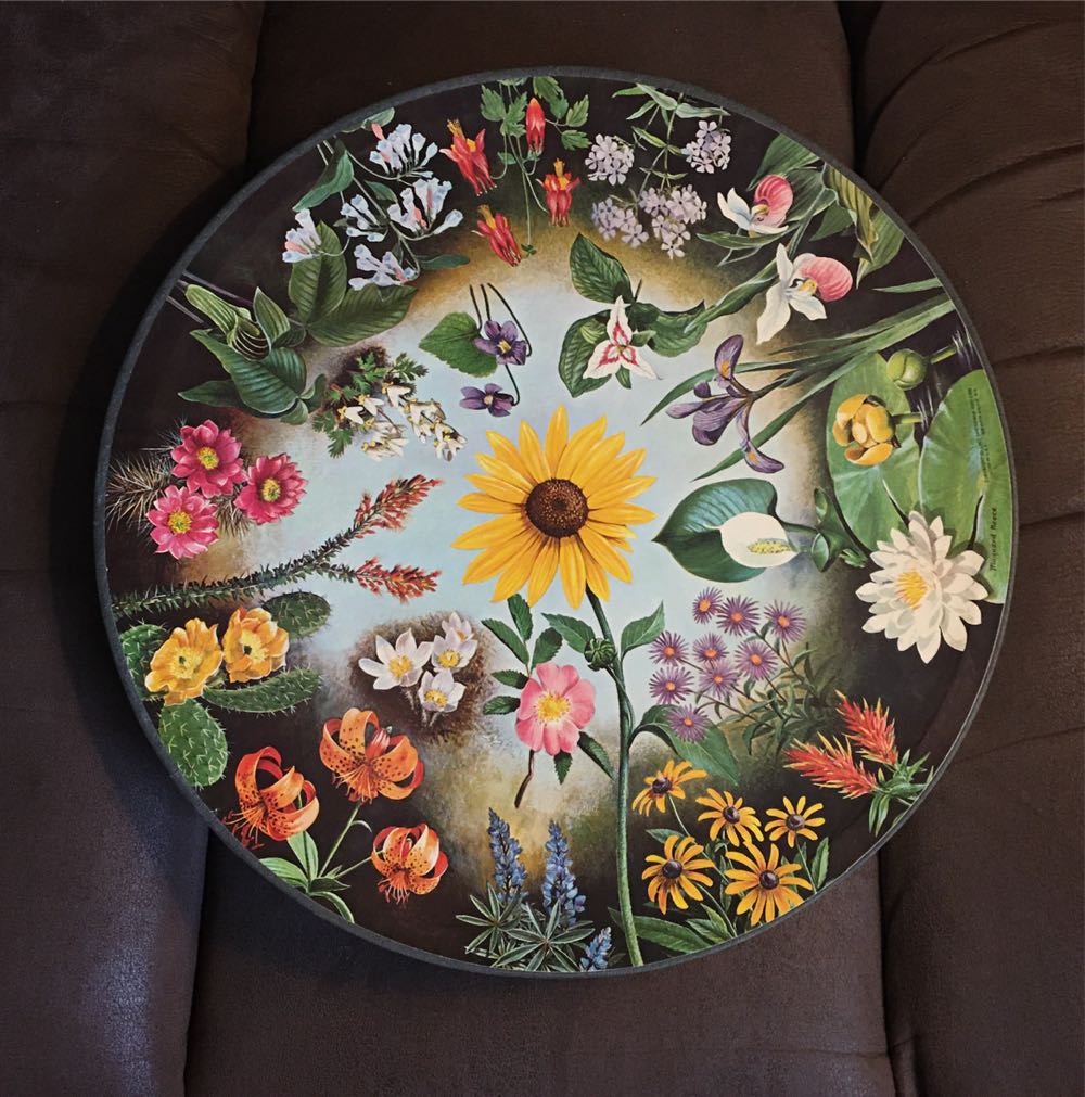 Webber Phonological Awareness Photo Cards