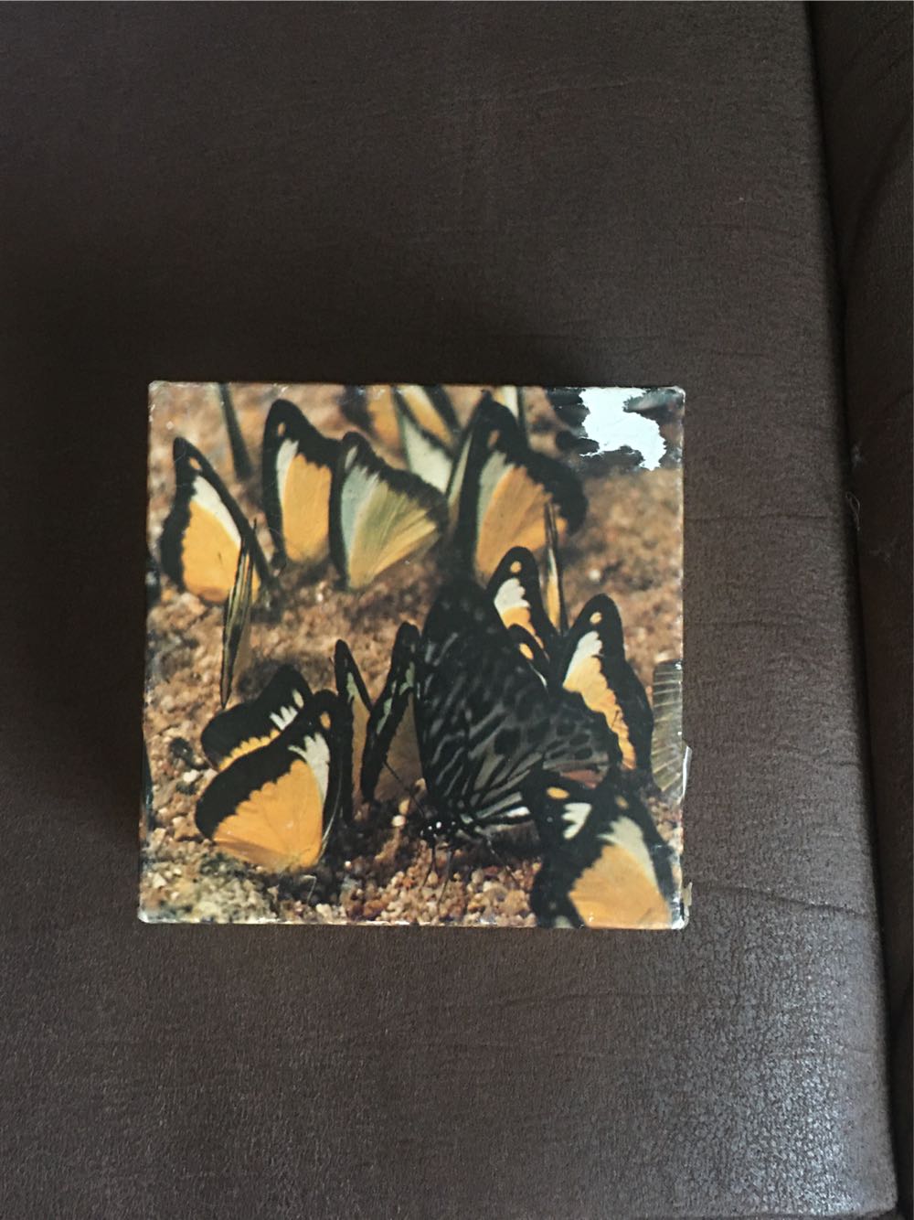 NFL Tampa Bay Buccaneers