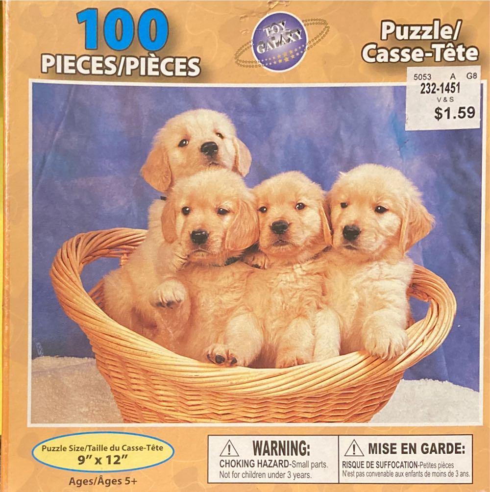 Pintoo Singapore Skyline