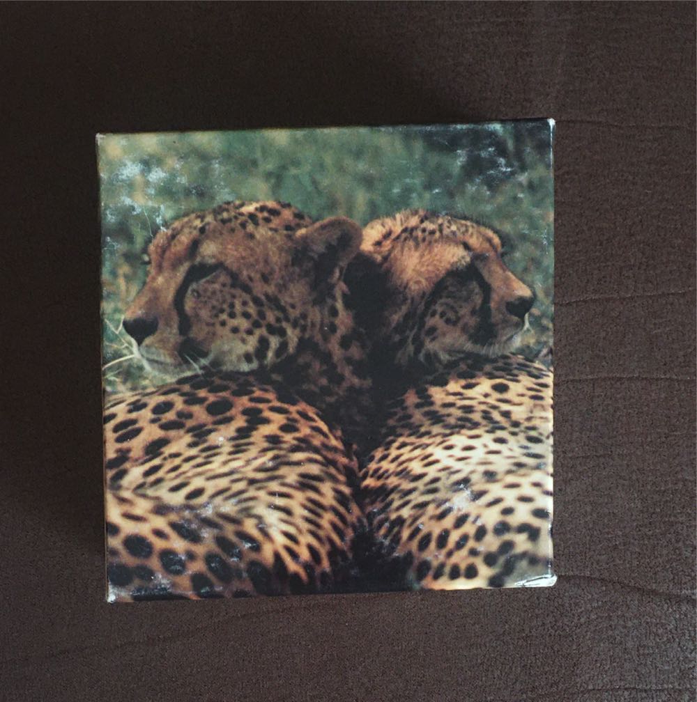 Gen. Robert E. Lee-SOLD