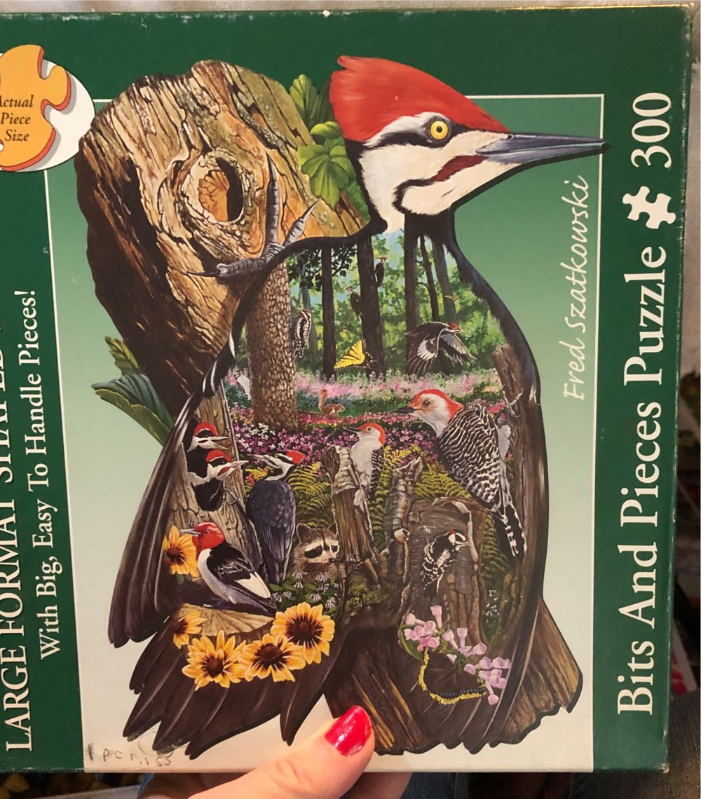 Wilderness - Bits & Pieces puzzle collectible [Barcode 704812449544] - Main Image 1
