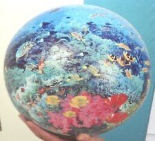 Destroyed Sea Turtle Earthpix