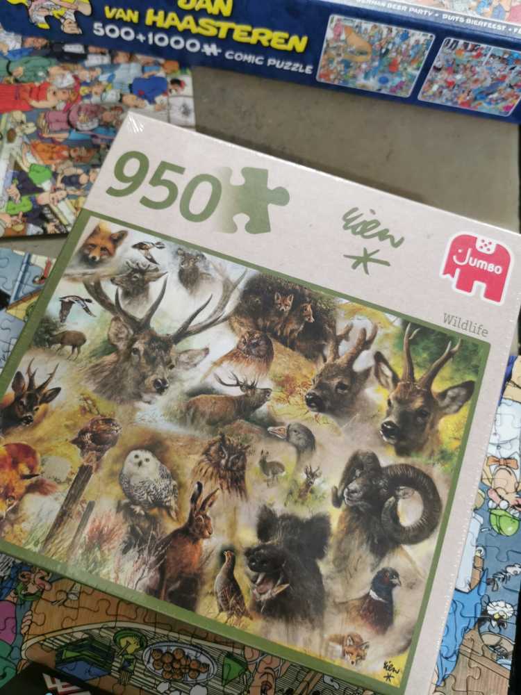 Hot Air Balloons At Sunset New