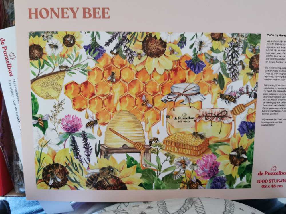 We Think The World Of Birds