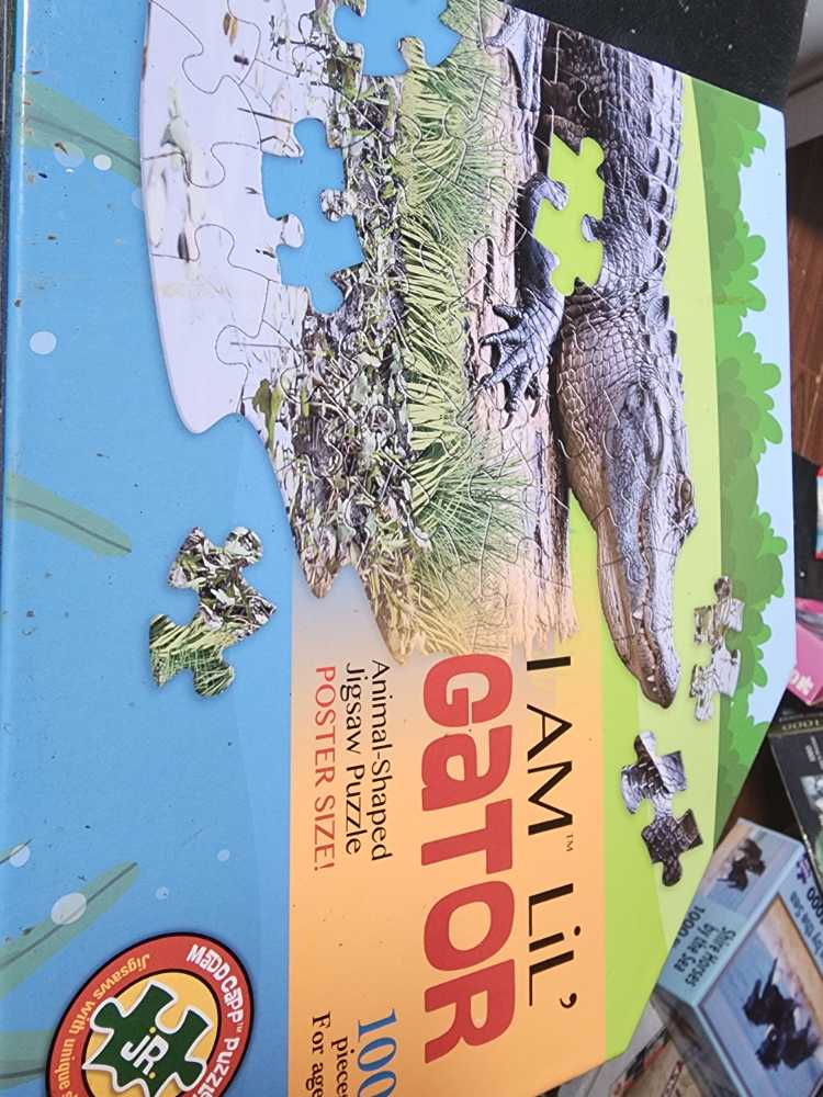 Colorful Checkered Hot Air Balloon