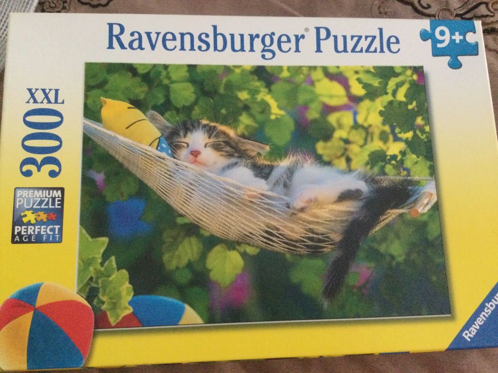 Wild Australia - In The Treetops