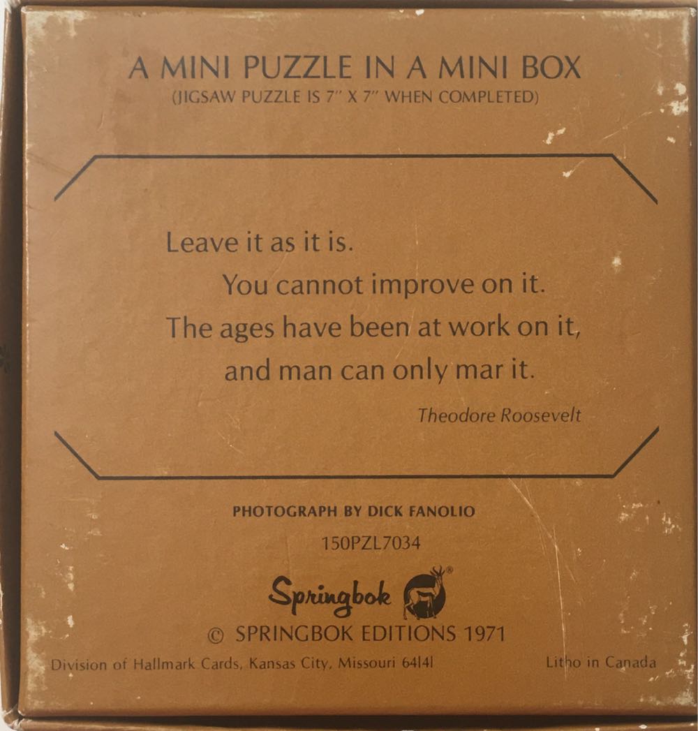 River - Mini - Springbok puzzle collectible - Main Image 2