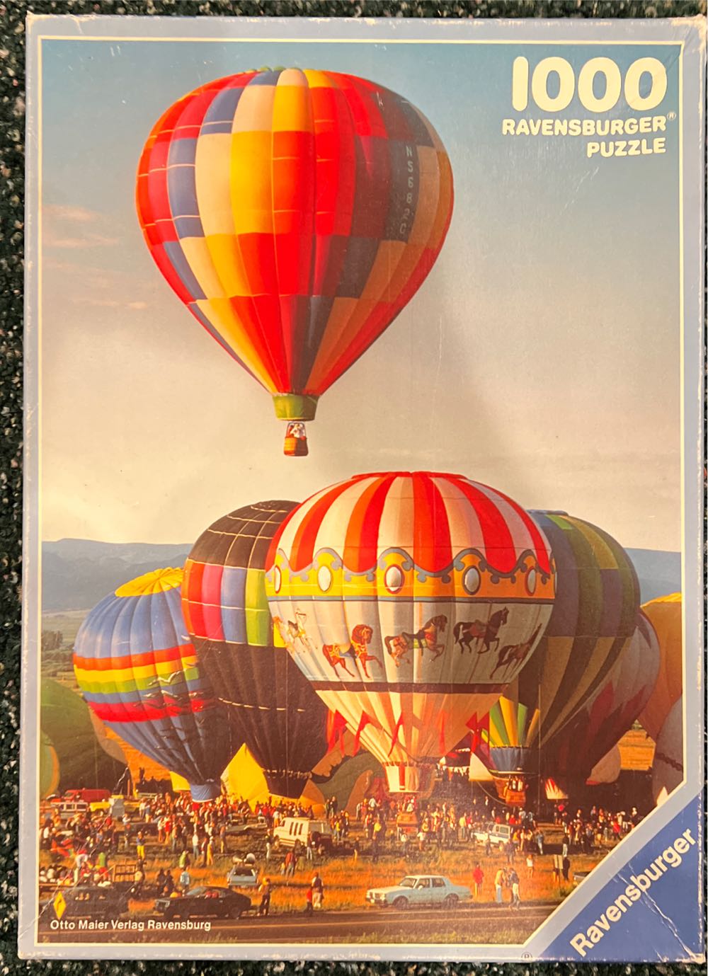 Vegetable Garden Overcast Morning, Eragny