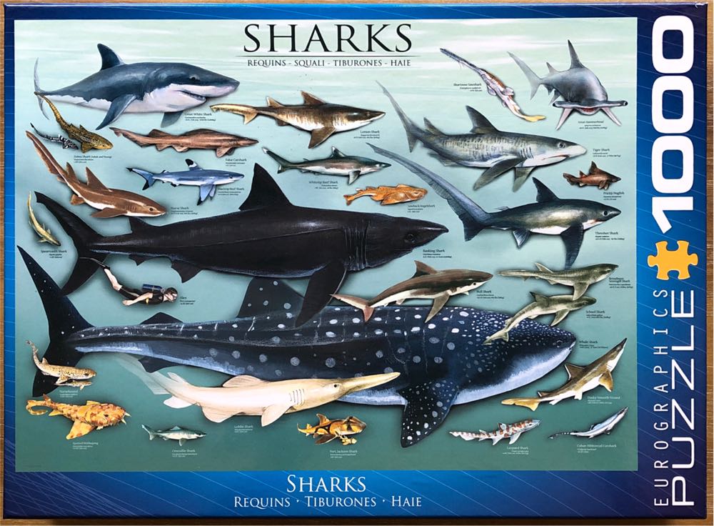 Eguisheim Town 1000pcs Puzzles For Good Jigsaw ...