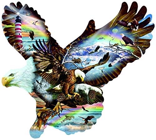 Eagle Eye - SunsOut 🇺🇸 puzzle collectible [Barcode 796780956391] - Main Image 1