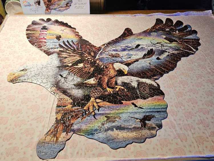 Eagle Eye - SunsOut 🇺🇸 puzzle collectible [Barcode 796780956391] - Main Image 2
