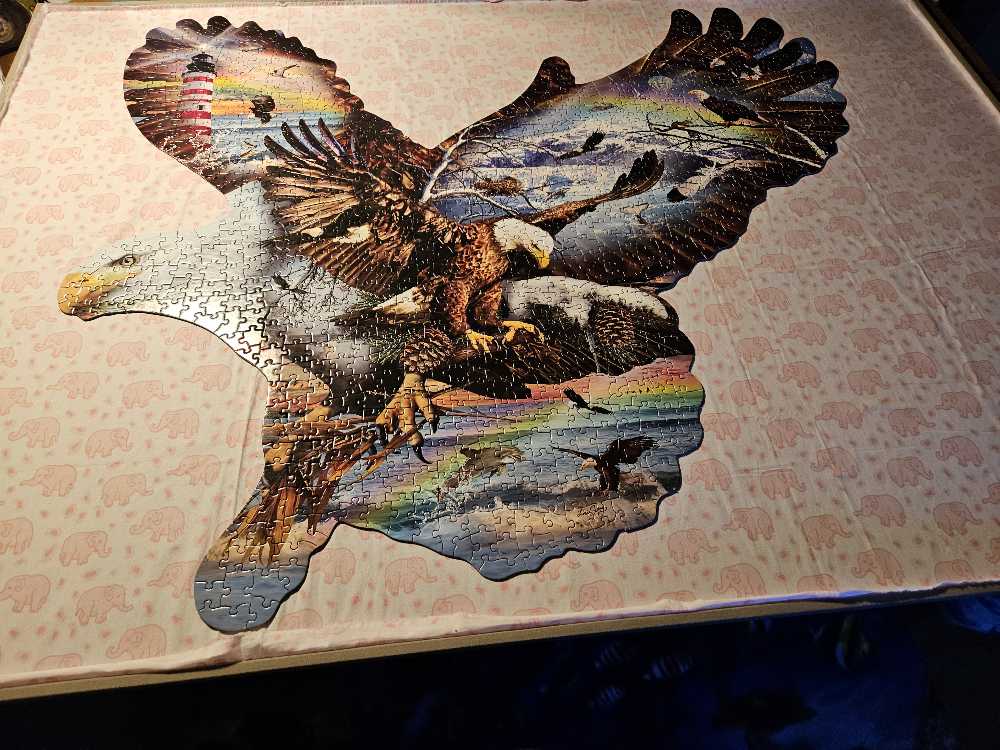 Eagle Eye - SunsOut 🇺🇸 puzzle collectible [Barcode 796780956391] - Main Image 3