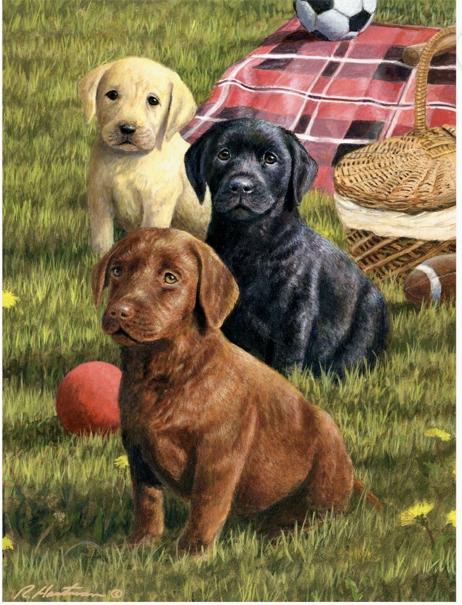 Lunch With The Labradors (UV) Cheryl - Buffalo puzzle collectible [Barcode 079346173587] - Main Image 2