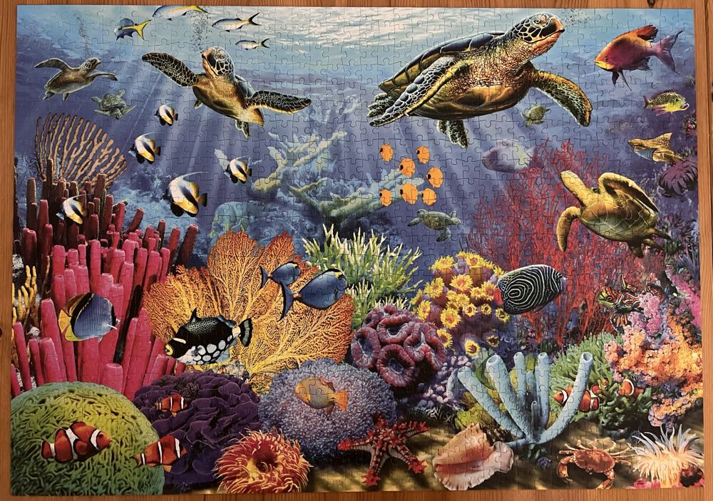 Turtle Coral Reef - Bluebird Puzzle puzzle collectible [Barcode 3663384701597] - Main Image 2