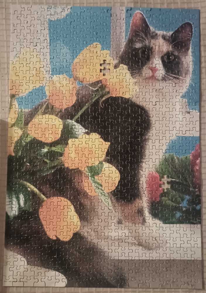 Calico - Rose Art Kodacolor puzzle collectible [Barcode 072348999995] - Main Image 2