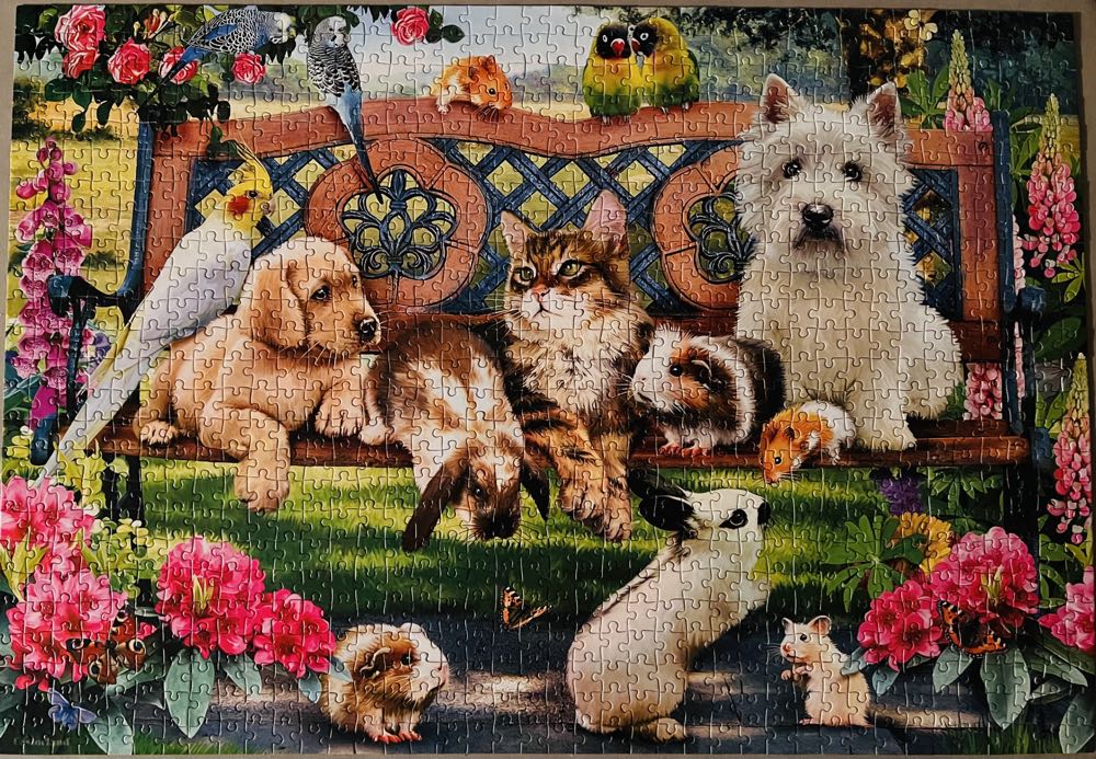 Pets In The Park - Castorland puzzle collectible [Barcode 5904438104406] - Main Image 2