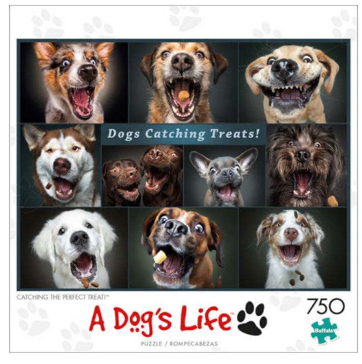 Brabeau: Garden Scene 1000pc Jigsaw By Sunsout