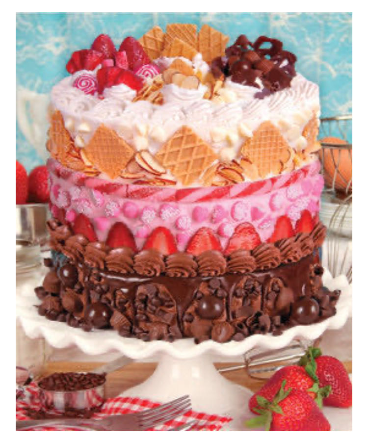 Wings Of Color Butterfly