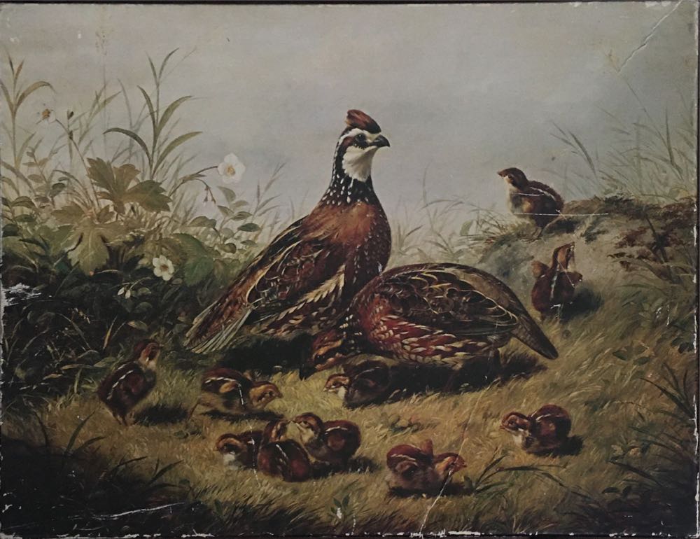 Me to You - Tatty Teddy Home Baking #5