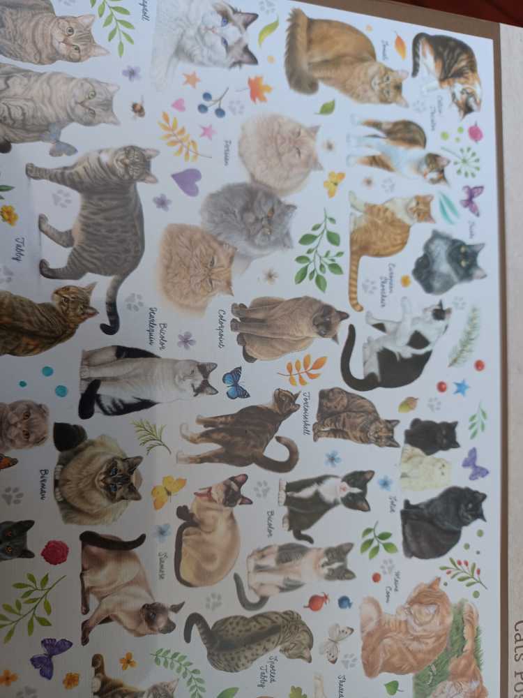 The Good Book Mary St John 5.00