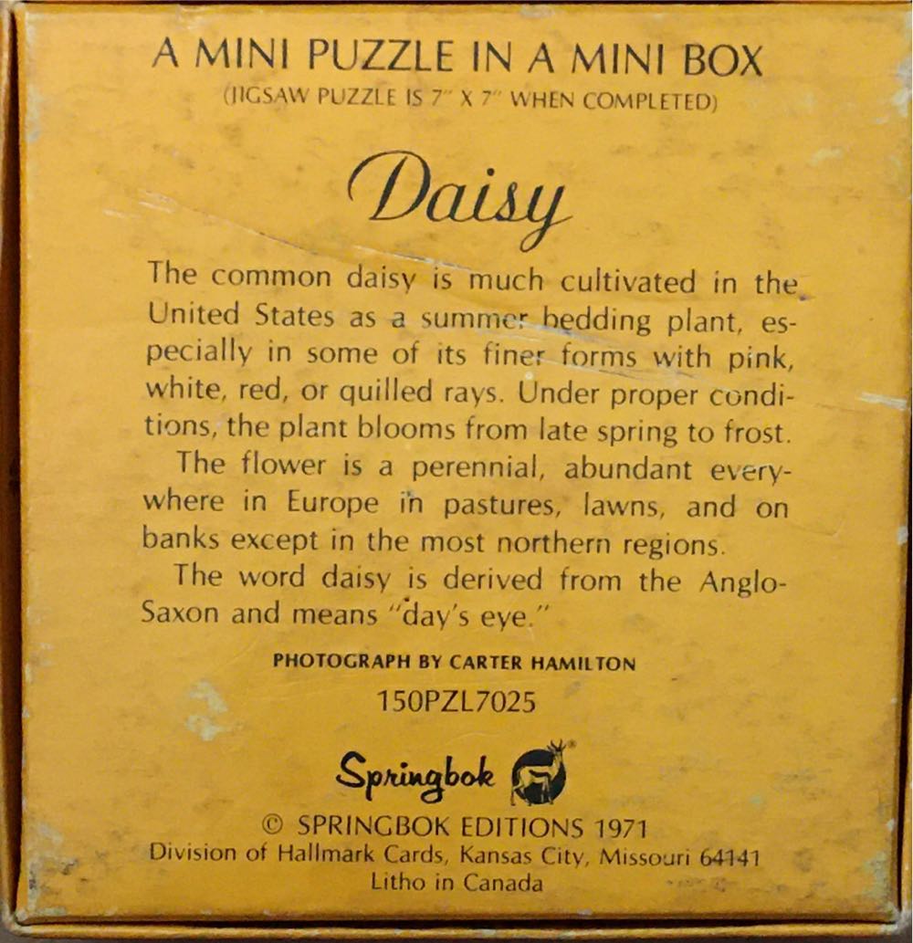 Daisy - Mini - Springbok puzzle collectible - Main Image 2