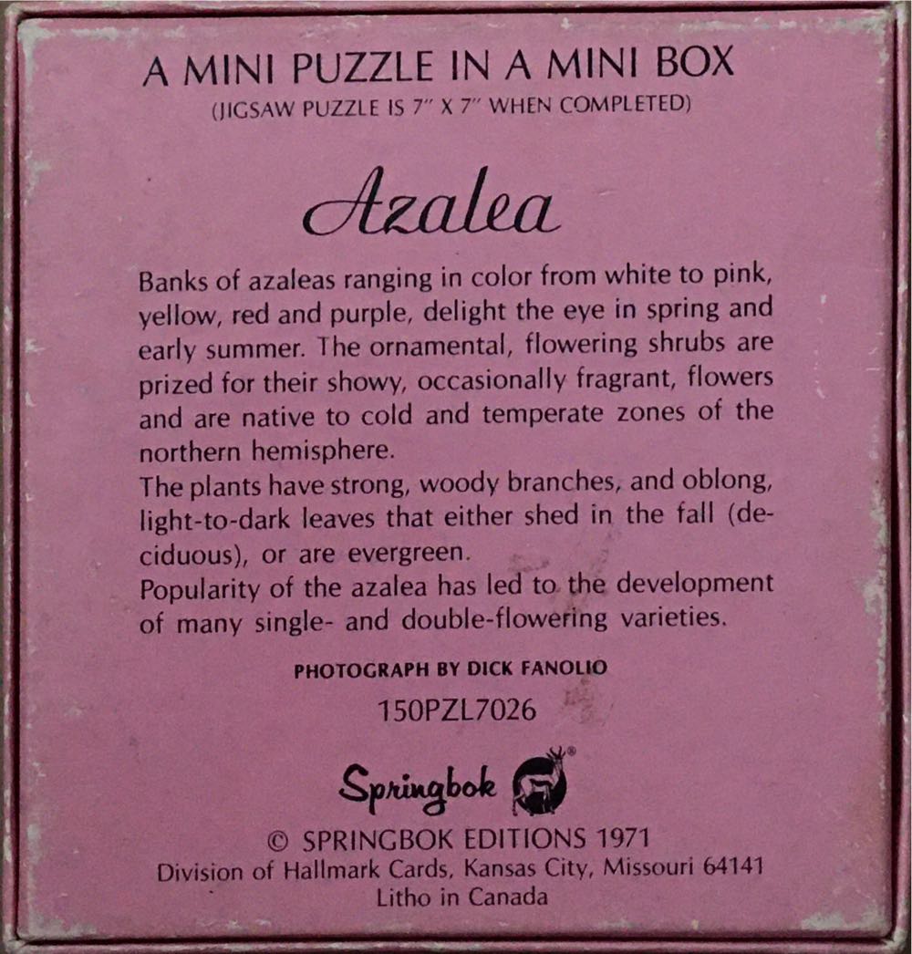 Azalea - Mini - Springbok puzzle collectible - Main Image 2