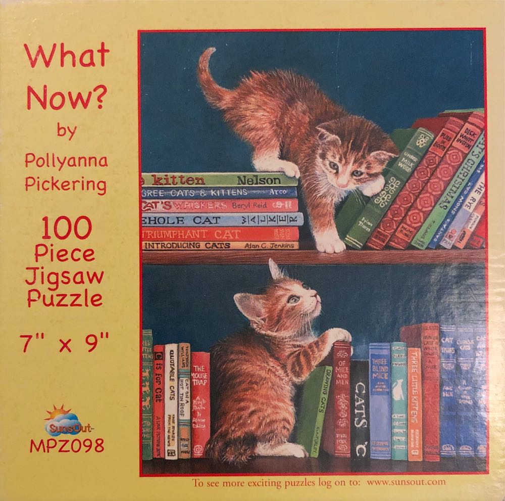 The Butterfly Collector