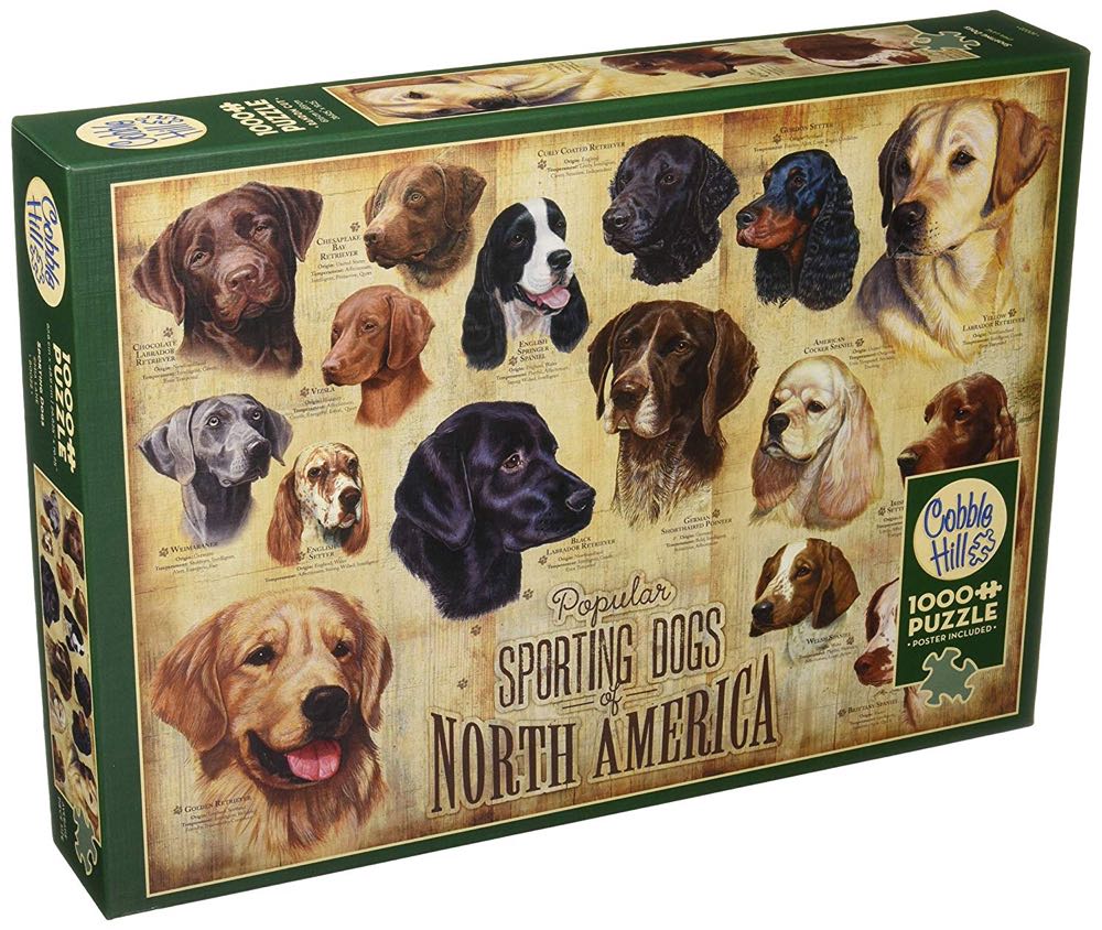 Eevee’s Stained Glass