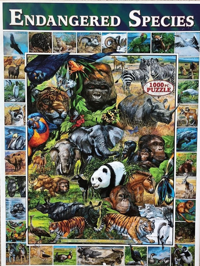 Wild Animals. - Cheryl 