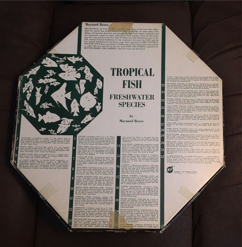 Tropical Fish - Octagon - Springbok puzzle collectible - Main Image 2