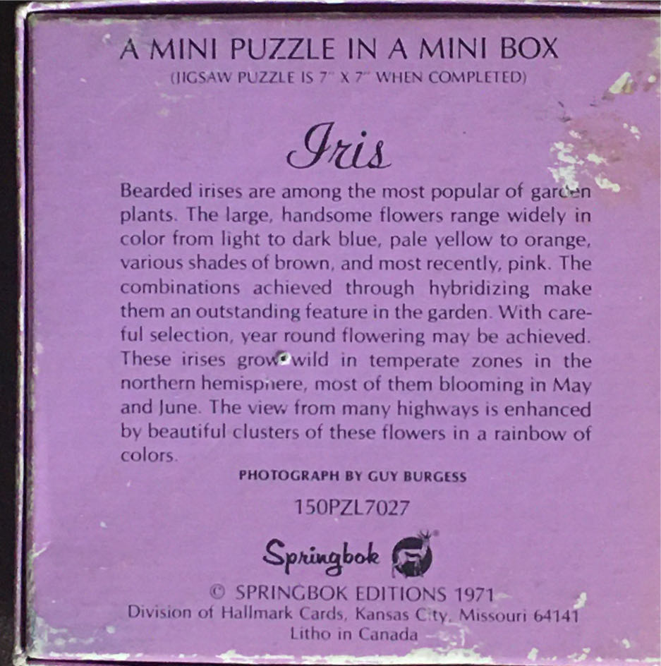 Iris - Mini - Springbok puzzle collectible - Main Image 2