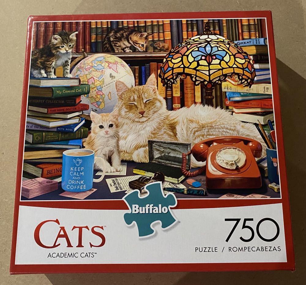 Synonym Vocabulary Match-ups