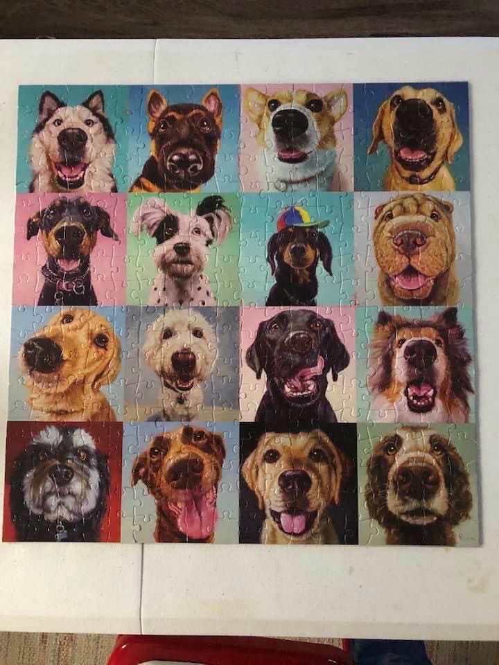 Follow Your Nose - Buffalo Games puzzle collectible - Main Image 2