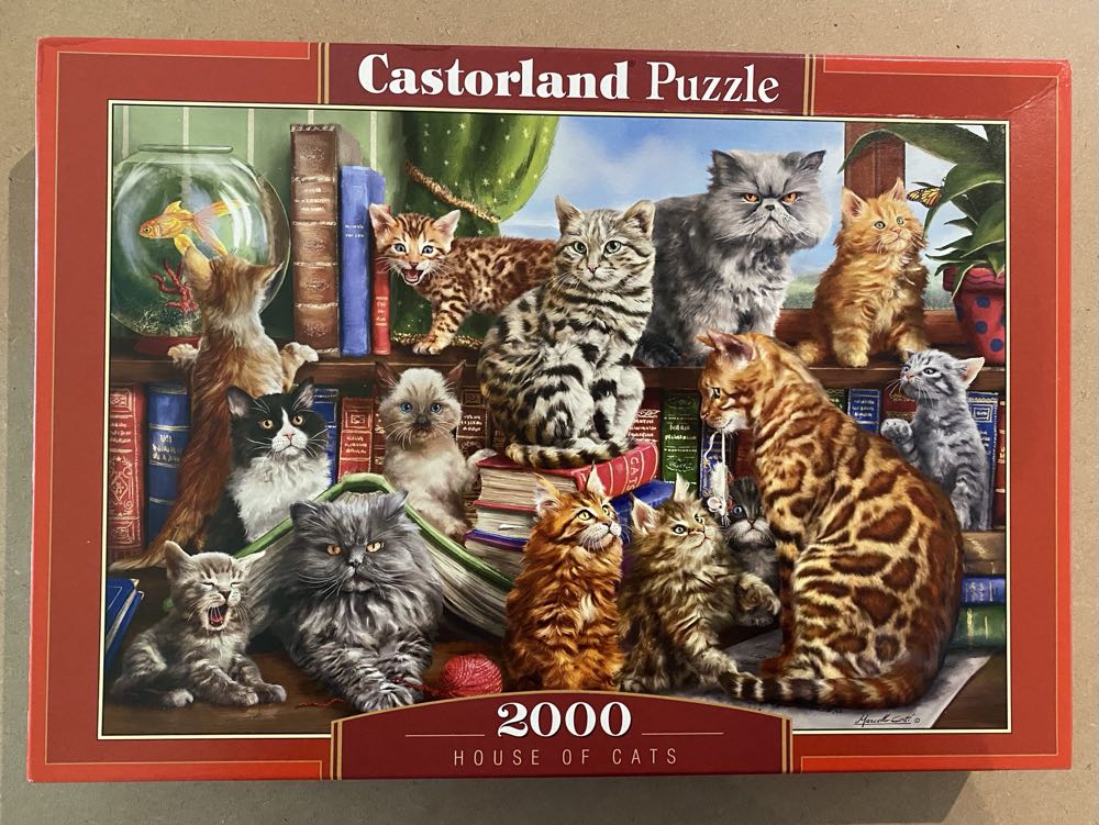 Gelini “Abbey Road”