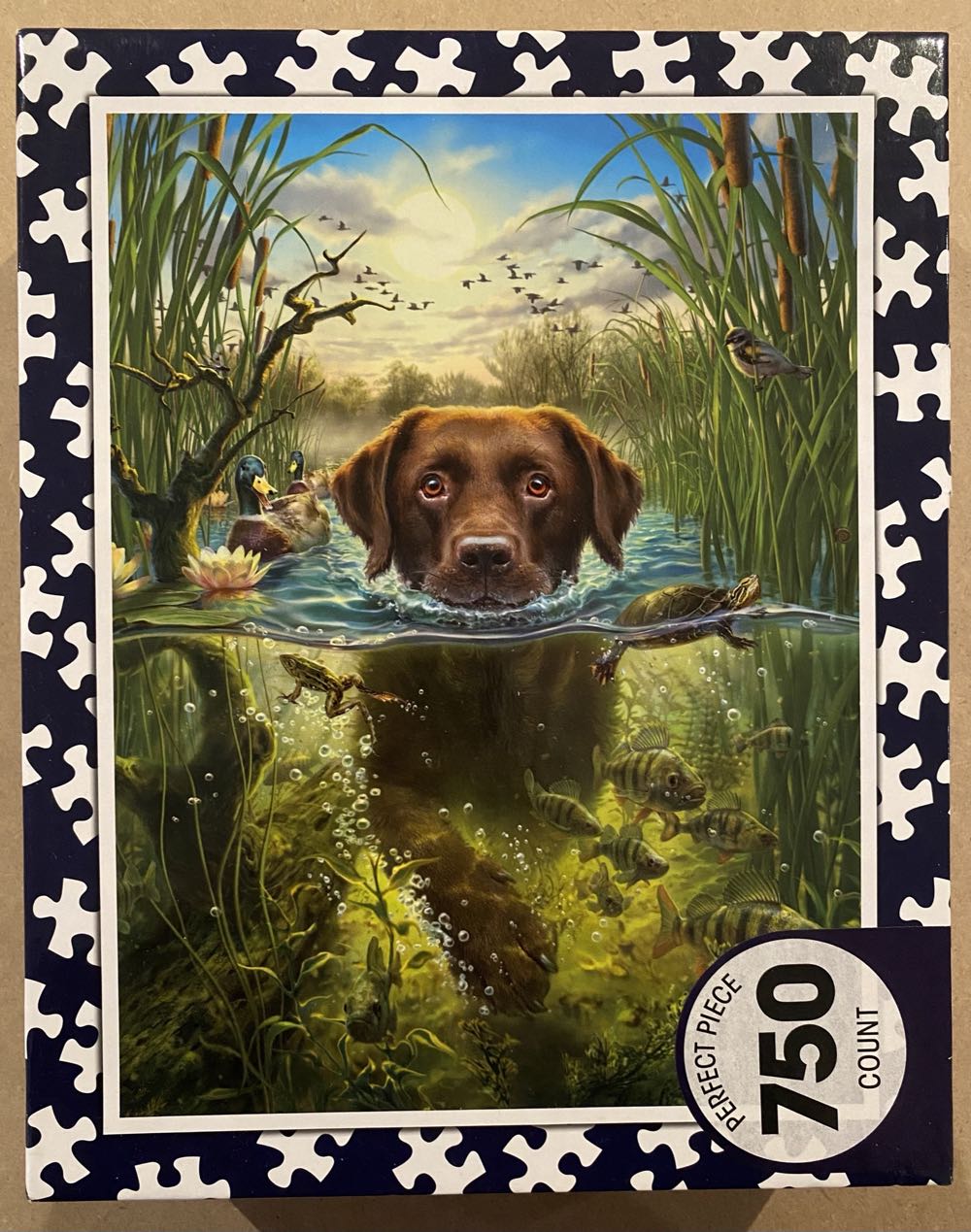 Mickey’s Park 🆕🚪