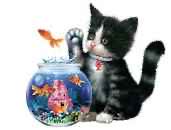 Wild Australia From Desert To Sea