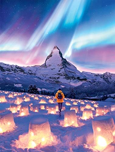 License Plates- NIB 🚫