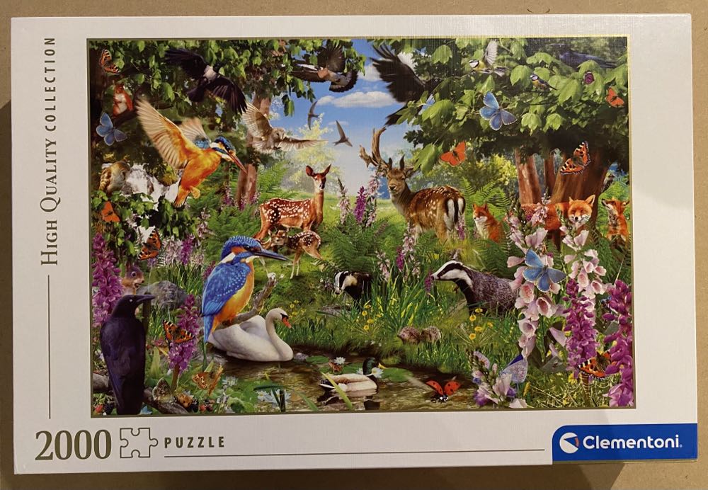 A Dream In Chocolate