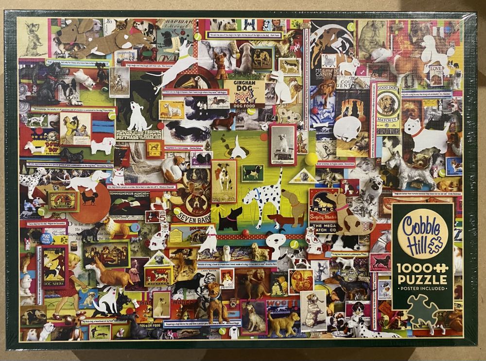 National Geographic Shark