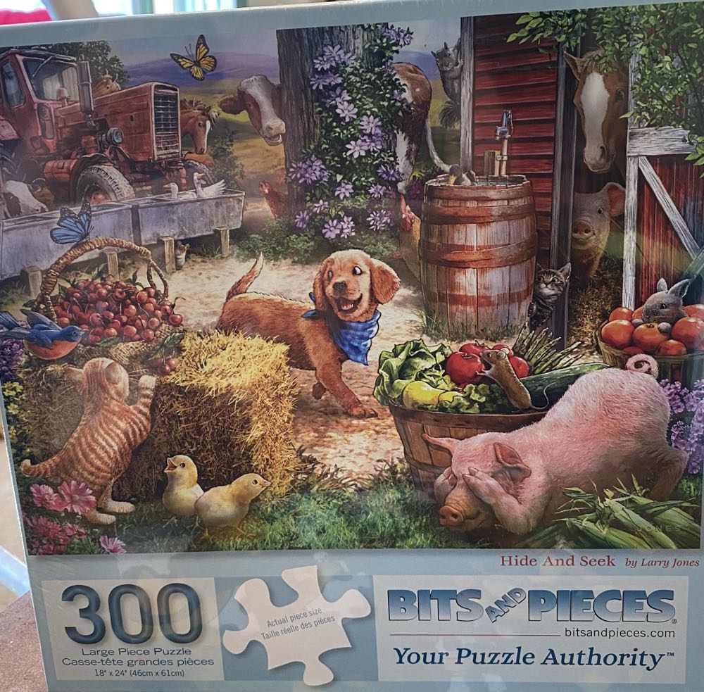 Hide And Seek - Bits And Pieces puzzle collectible [Barcode 192949030849] - Main Image 2