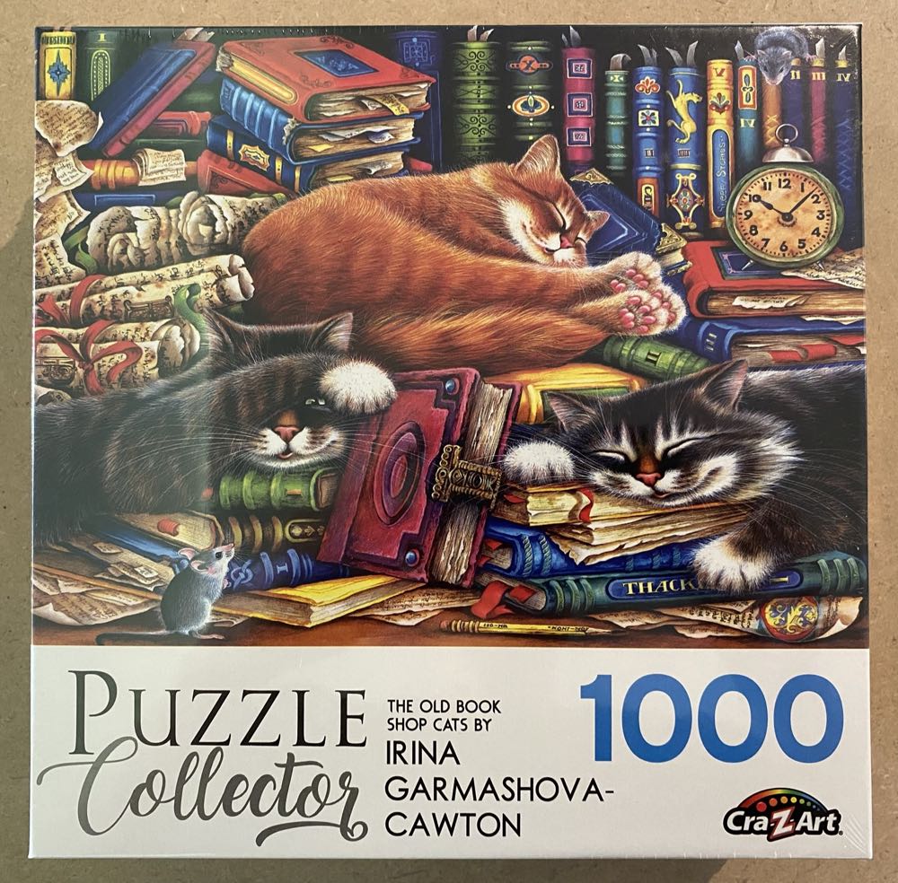 Pirates Discovery & Poster New 100 Piece Djeco Find Hidden Objects