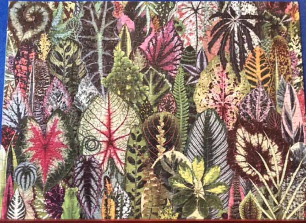 Houseplant Jungle - Galison puzzle collectible - Main Image 2