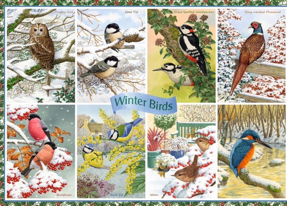 Winter Birds 🐦 - Falcon de luxe puzzle collectible [Barcode 8710126112342] - Main Image 2
